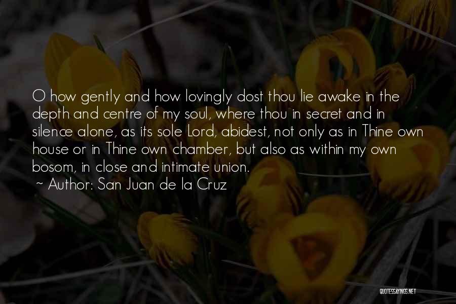 Are You Still Awake Quotes By San Juan De La Cruz