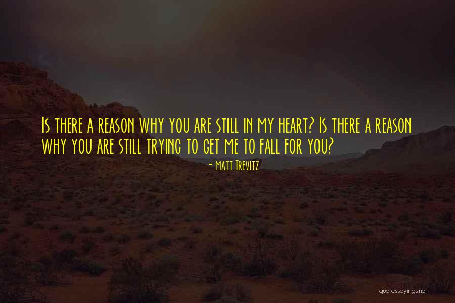 Are You Still There For Me Quotes By Matt Trevitz