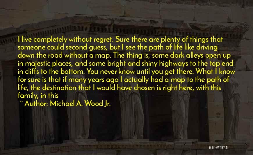 Are You Sure Quotes By Michael A. Wood Jr.