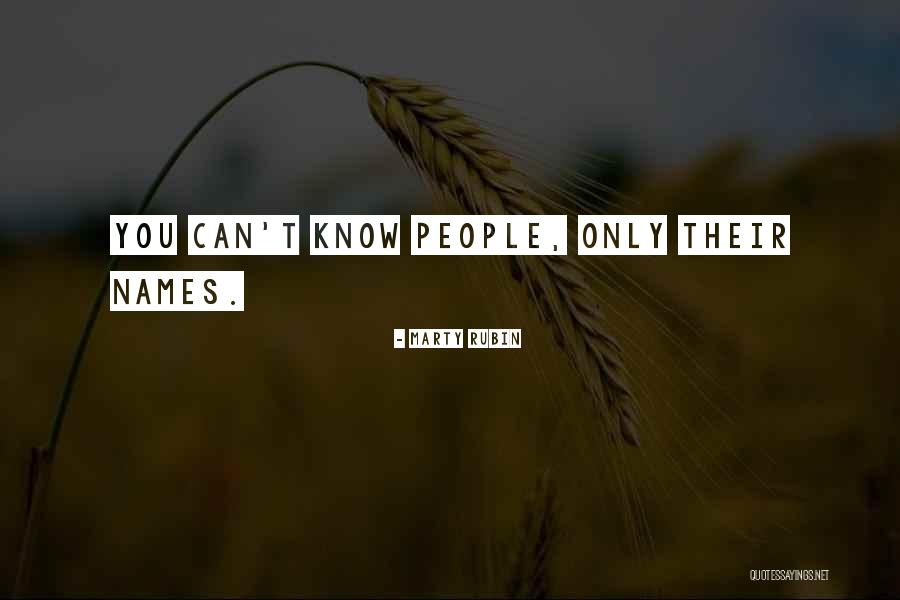 Aregbesola Portrait Quotes By Marty Rubin