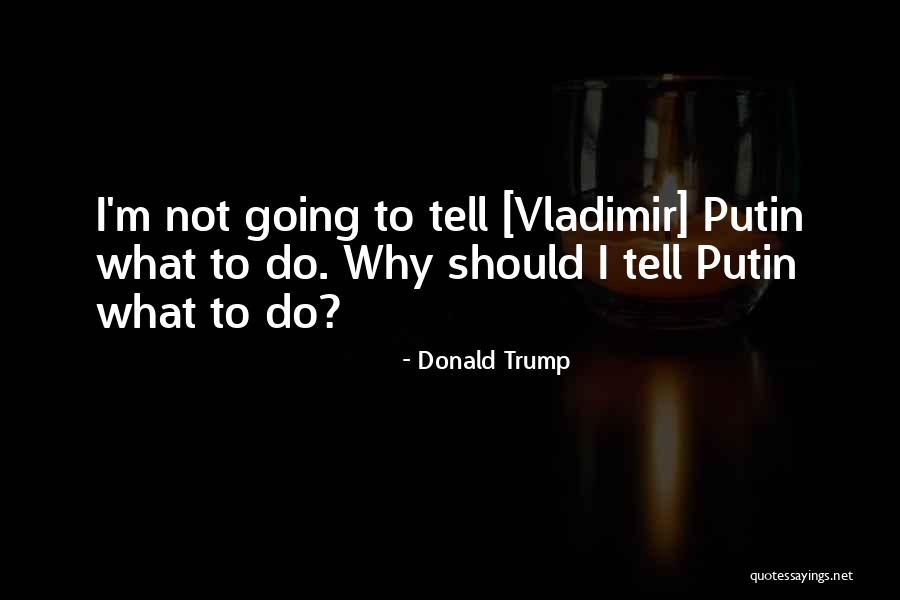 Areinho Quotes By Donald Trump Areinho Quotes By Donald Trump