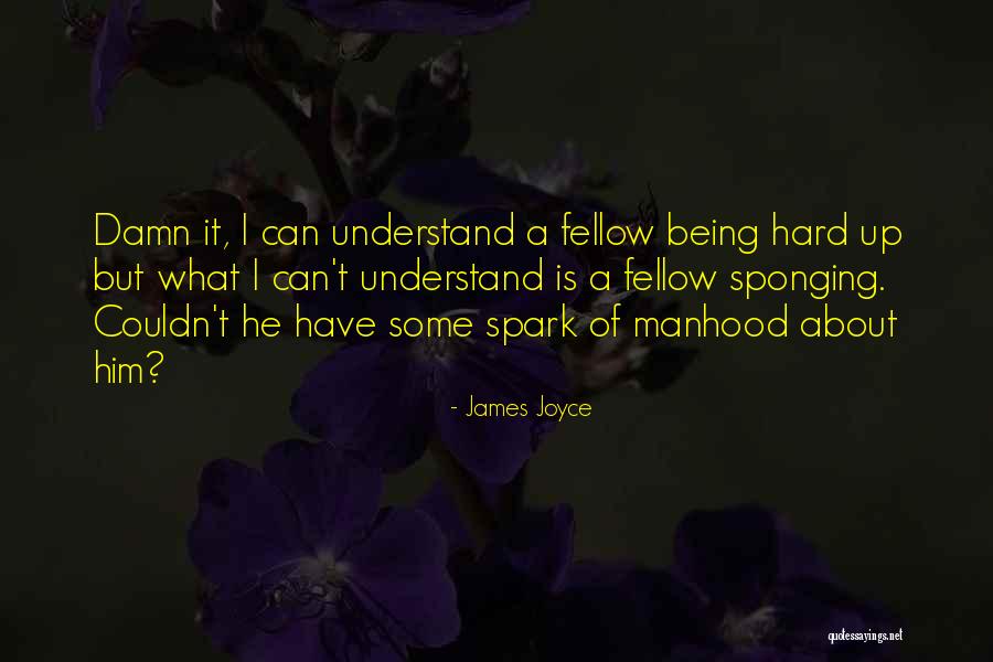 Arela Samet Quotes By James Joyce Arela Samet Quotes By James Joyce