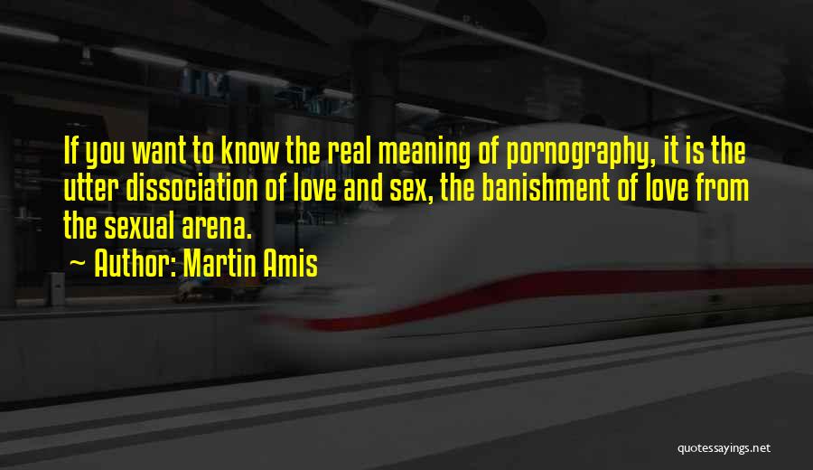 Arena Quotes By Martin Amis