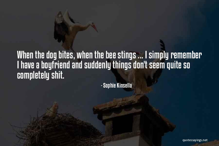 Arendsvlei Quotes By Sophie Kinsella Arendsvlei Quotes By Sophie Kinsella