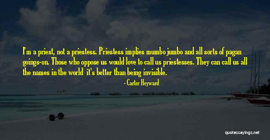 Aresia Superman Quotes By Carter Heyward Aresia Superman Quotes By Carter Heyward