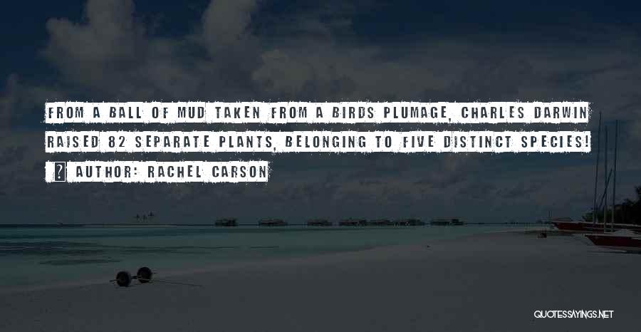 Aresill Quotes By Rachel Carson