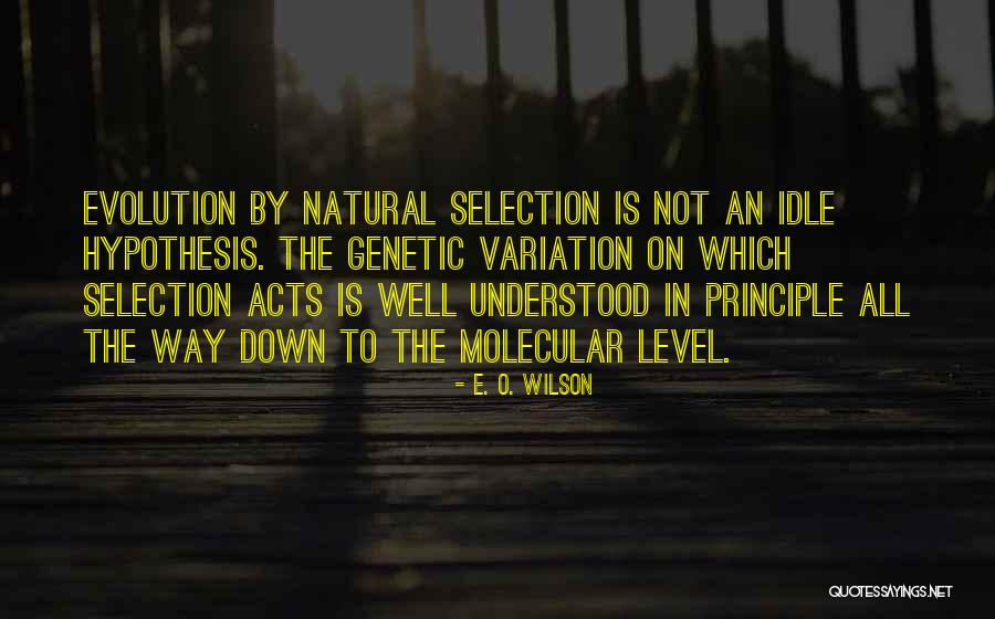 Aresztowanie Agresywnej Quotes By E. O. Wilson Aresztowanie Agresywnej Quotes By E. O. Wilson