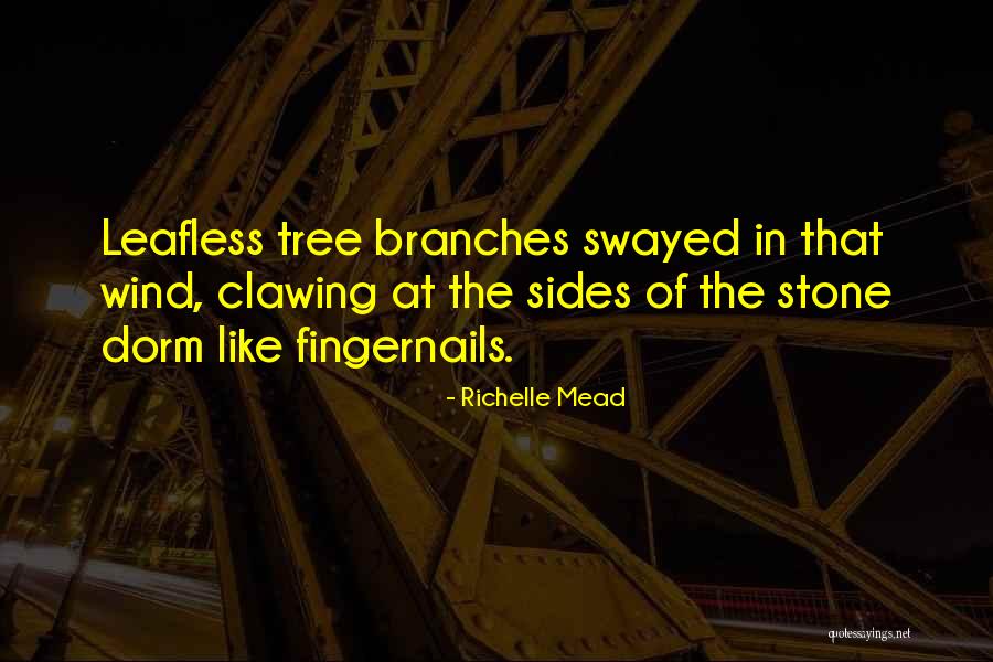 Aretos Real Estate Quotes By Richelle Mead Aretos Real Estate Quotes By Richelle Mead