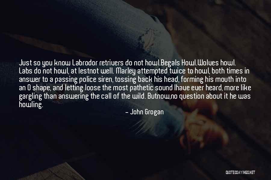 Argenbright Dgs Quotes By John Grogan Argenbright Dgs Quotes By John Grogan
