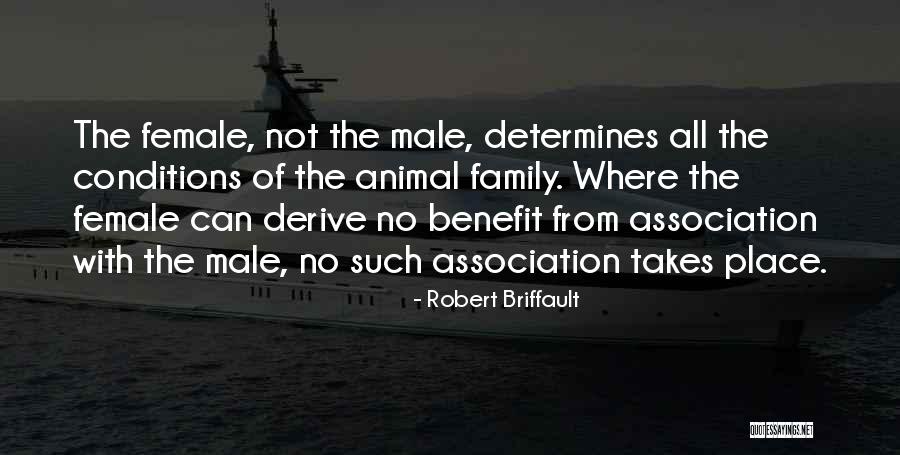 Argentieri Italiani Quotes By Robert Briffault Argentieri Italiani Quotes By Robert Briffault