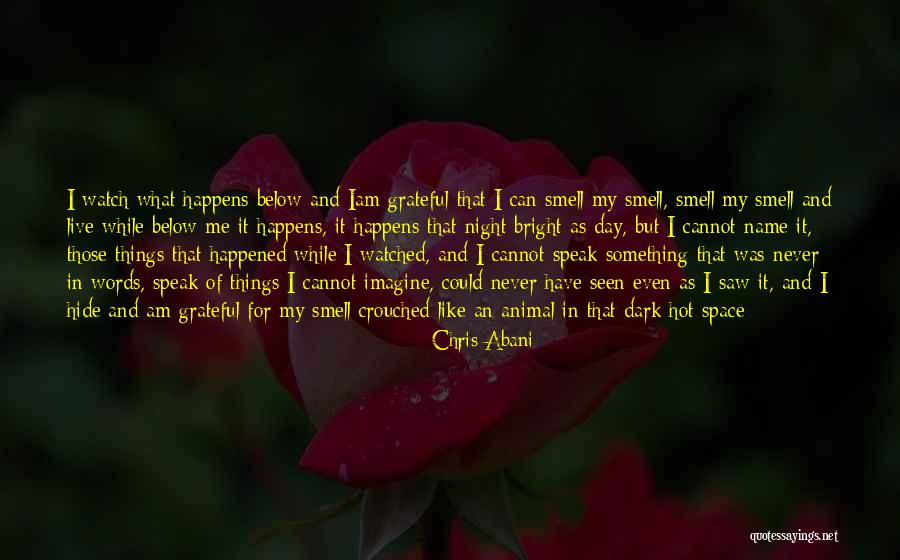 Argonski Aparati Quotes By Chris Abani