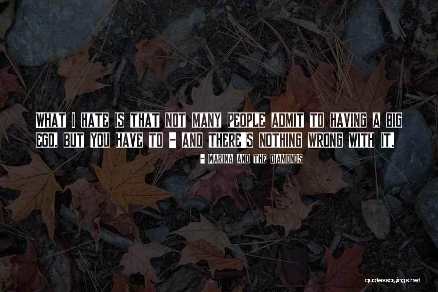 Argument From Problem Of Evil Quotes By Marina And The Diamonds Argument From Problem Of Evil Quotes By Marina And The Diamonds