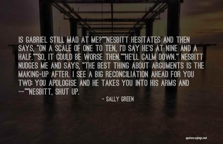 Arguments And Making Up Quotes By Sally Green