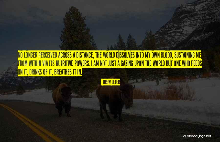 Arhat Vs Bodhisattva Quotes By Drew Leder Arhat Vs Bodhisattva Quotes By Drew Leder