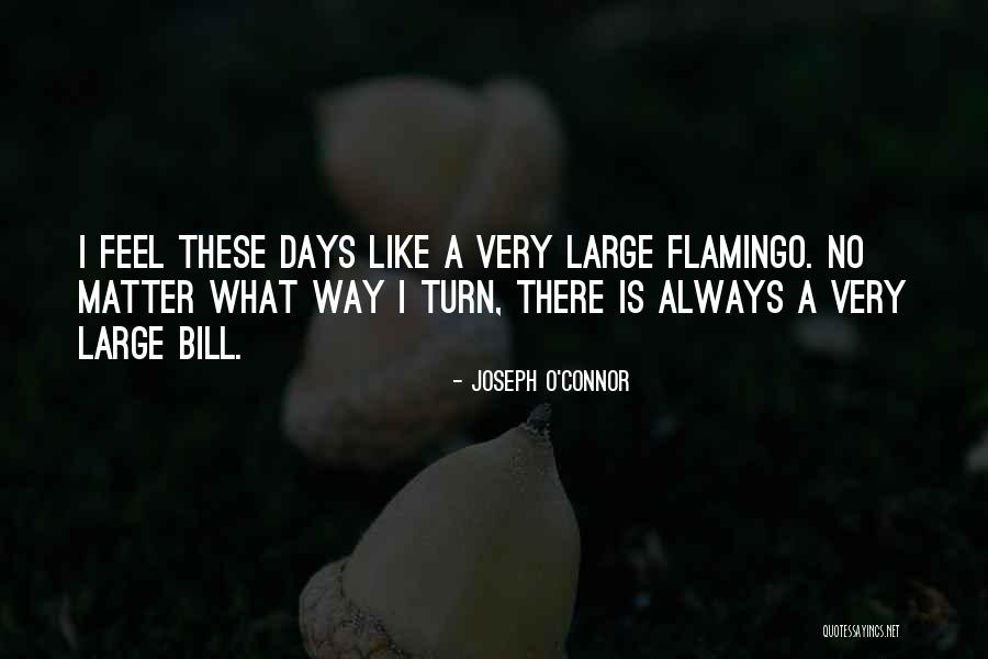 Arheologie Romania Quotes By Joseph O'Connor Arheologie Romania Quotes By Joseph O'Connor