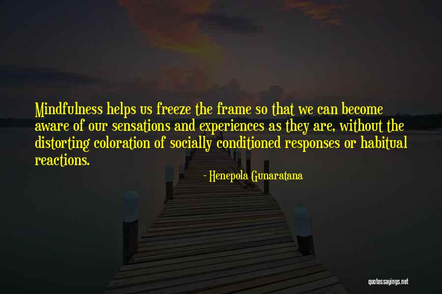 Ariadniartemistar Quotes By Henepola Gunaratana Ariadniartemistar Quotes By Henepola Gunaratana