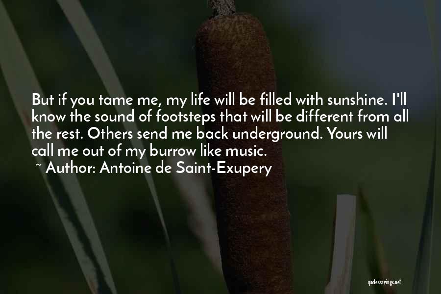 Ariah Pronunciation Quotes By Antoine De Saint-Exupery