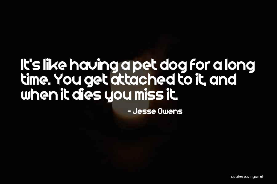 Arianne Soller Quotes By Jesse Owens Arianne Soller Quotes By Jesse Owens