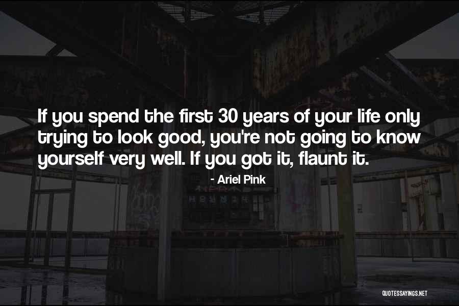 Ariel Pink Quotes 1181899 Ariel Pink Quotes 1181899