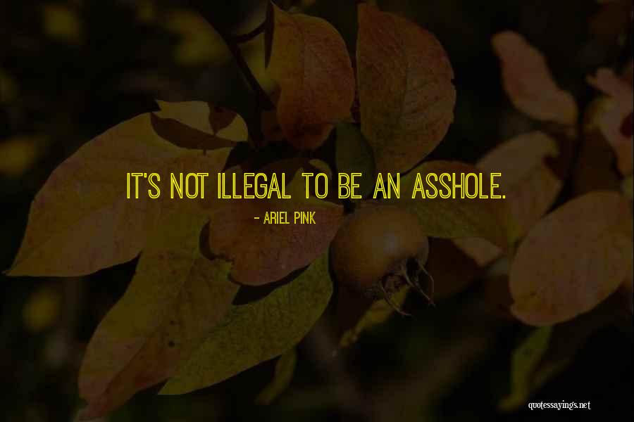 Ariel Pink Quotes 1343176 Ariel Pink Quotes 1343176