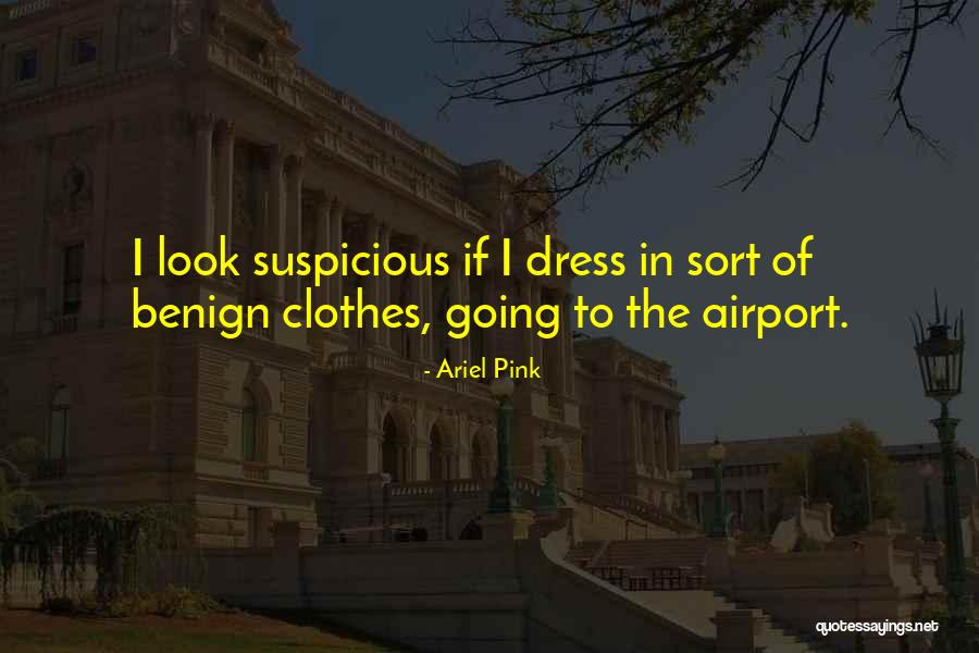 Ariel Pink Quotes 135090 Ariel Pink Quotes 135090