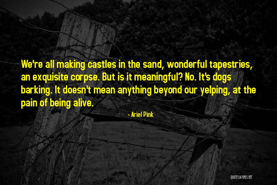 Ariel Pink Quotes 1579038 Ariel Pink Quotes 1579038