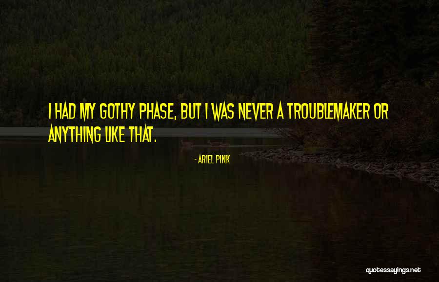 Ariel Pink Quotes 1774798