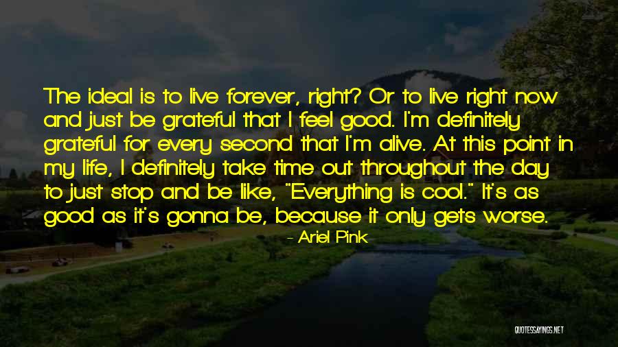 Ariel Pink Quotes 2159700 Ariel Pink Quotes 2159700