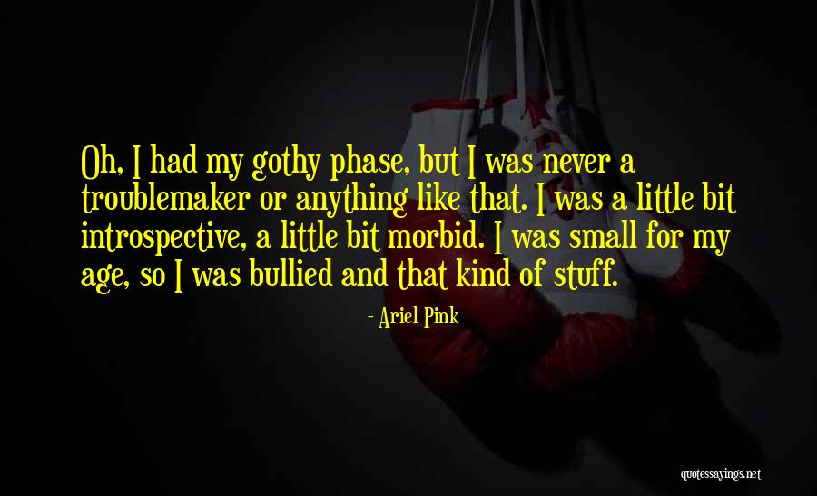 Ariel Pink Quotes 2160056 Ariel Pink Quotes 2160056
