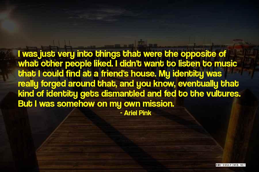 Ariel Pink Quotes 2227290 Ariel Pink Quotes 2227290