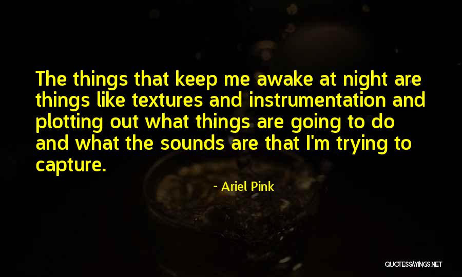 Ariel Pink Quotes 267326