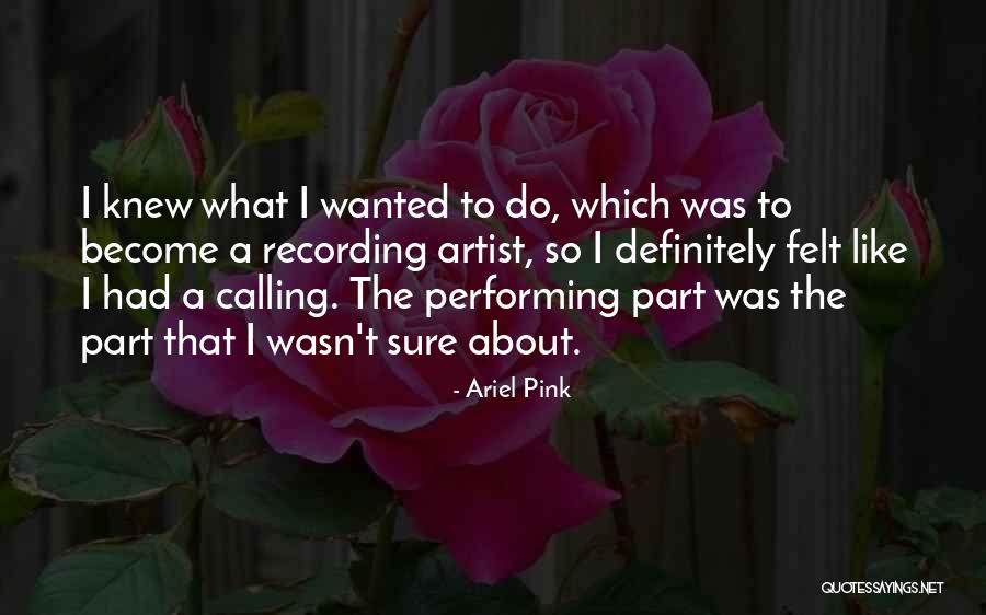 Ariel Pink Quotes 276947