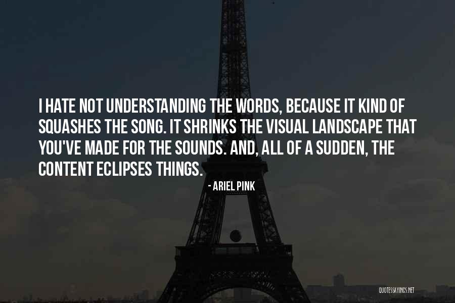 Ariel Pink Quotes 564607 Ariel Pink Quotes 564607