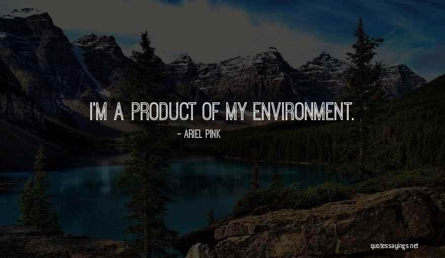 Ariel Pink Quotes 728639 Ariel Pink Quotes 728639