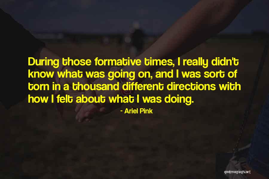 Ariel Pink Quotes 796300