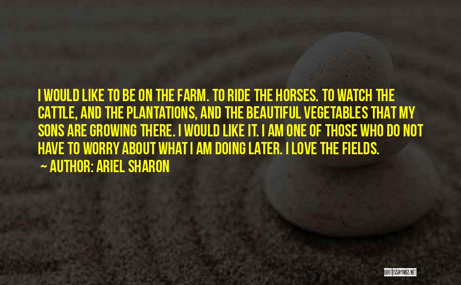 Ariel Sharon Quotes 180245