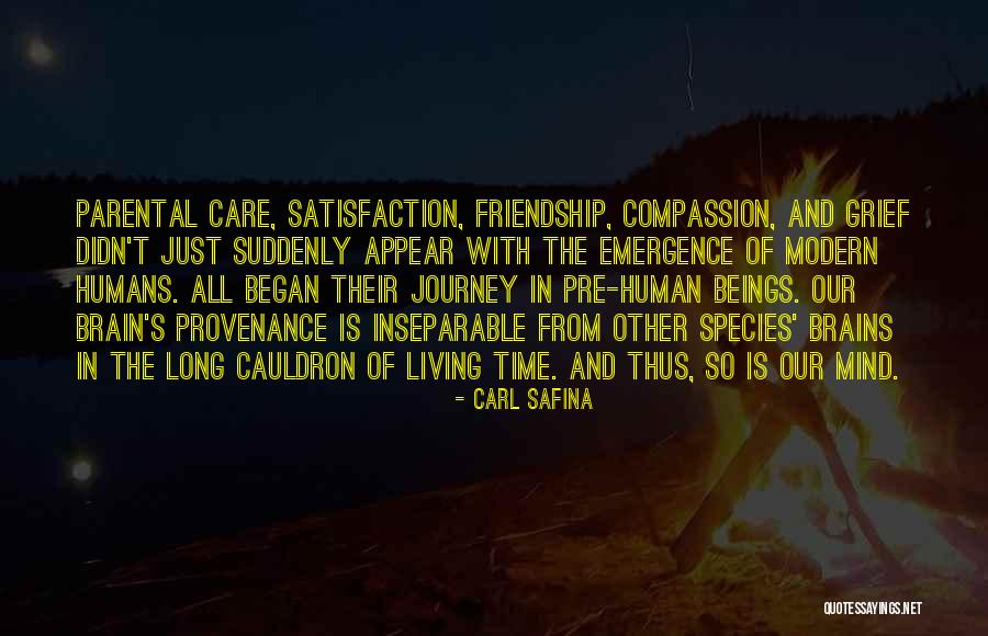 Ariele Chapman Quotes By Carl Safina Ariele Chapman Quotes By Carl Safina