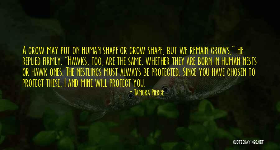 Arina Grossu Quotes By Tamora Pierce Arina Grossu Quotes By Tamora Pierce