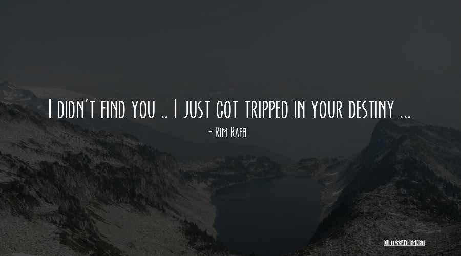 Arindam Ganguly Quotes By Rim Rafei Arindam Ganguly Quotes By Rim Rafei