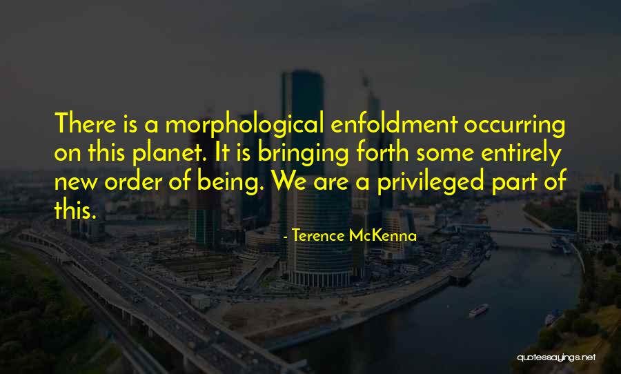 Arins Who Own This Ip Quotes By Terence McKenna Arins Who Own This Ip Quotes By Terence McKenna