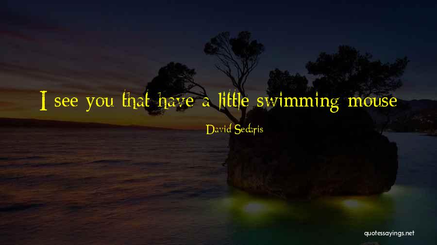 Arisaka Rifle Quotes By David Sedaris Arisaka Rifle Quotes By David Sedaris