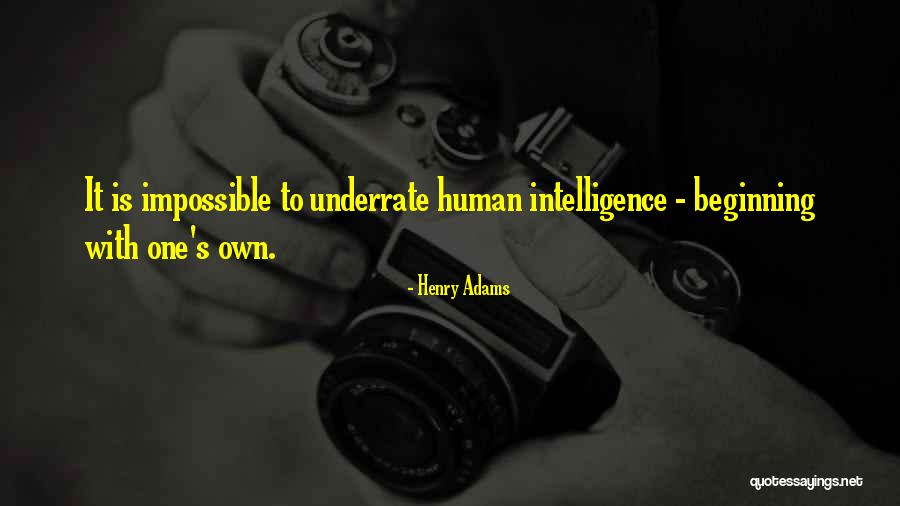 Arisal Shoes Quotes By Henry Adams Arisal Shoes Quotes By Henry Adams