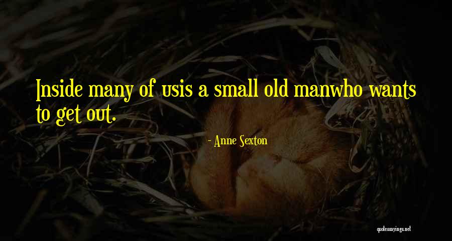 Arisco Significado Quotes By Anne Sexton