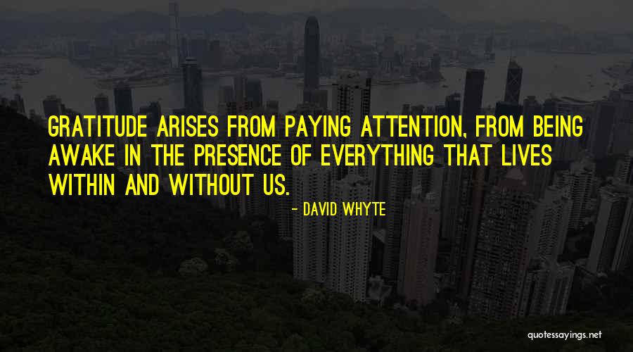 Arise And Awake Quotes By David Whyte Arise And Awake Quotes By David Whyte