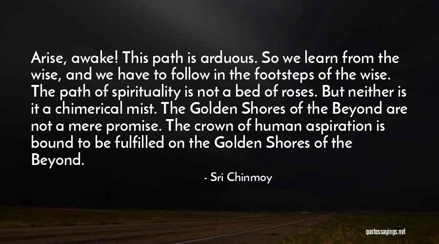 Arise Awake Quotes By Sri Chinmoy