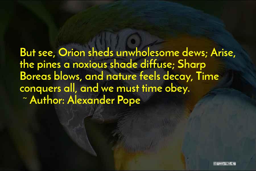 Arise Quotes By Alexander Pope