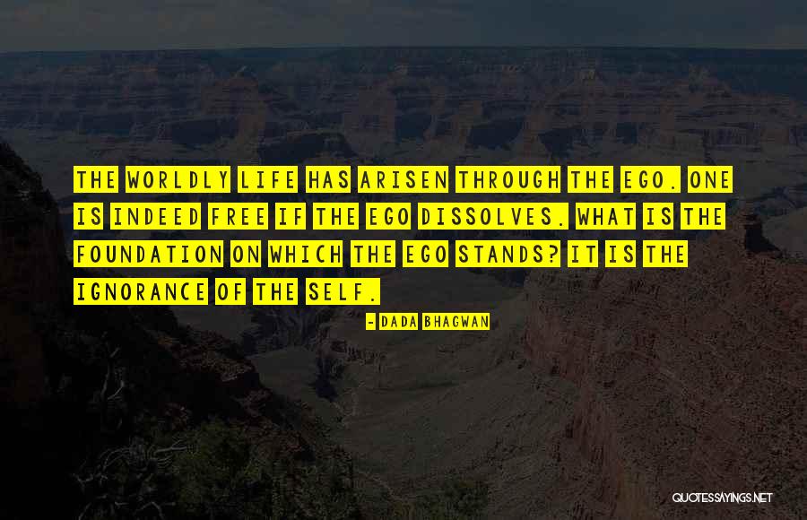 Arisen Quotes By Dada Bhagwan Arisen Quotes By Dada Bhagwan