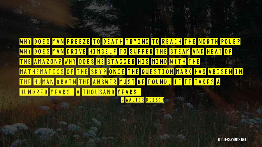 Arisen Quotes By Walter Reisch Arisen Quotes By Walter Reisch