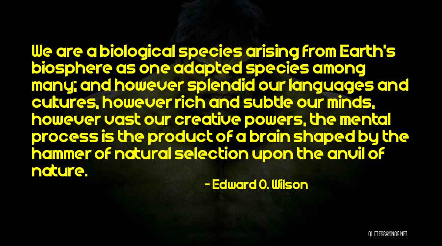 Arising Quotes By Edward O. Wilson