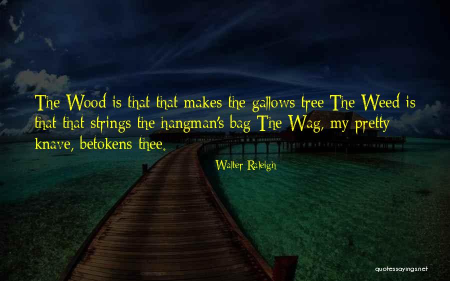 Aristofani Quotes By Walter Raleigh Aristofani Quotes By Walter Raleigh